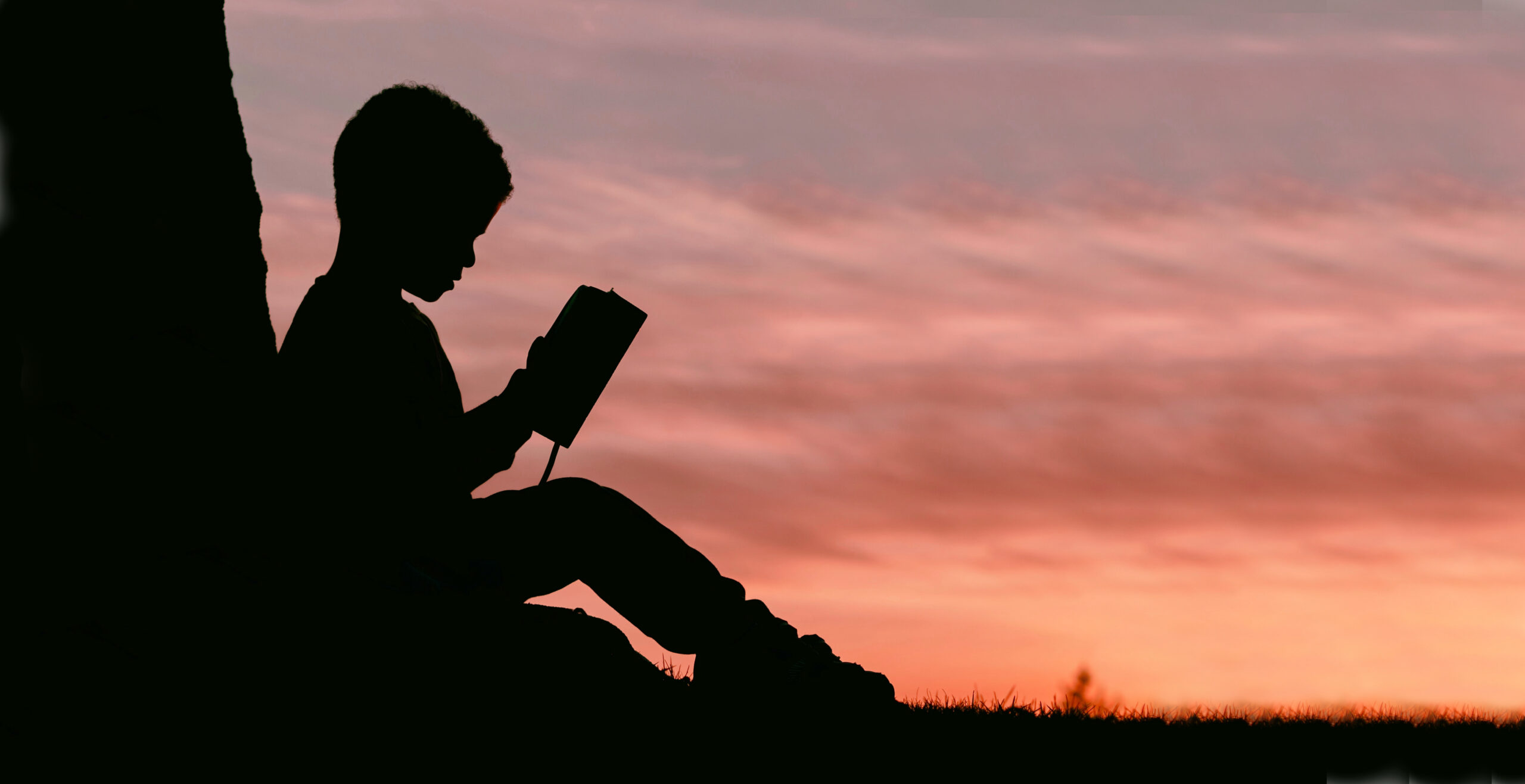 a child reading a book at sunset