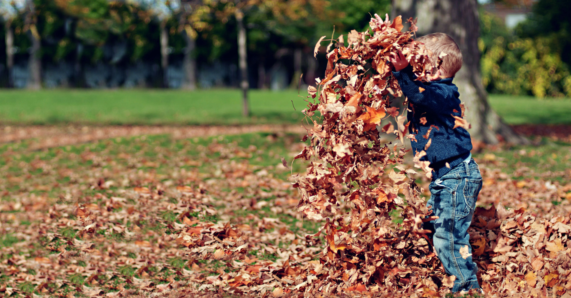 A child standing outside playing in a sea of fallen autumn leaves, having swept a large mass of leaves up in the air, such that the child is partly concealed by the mass of leaves.