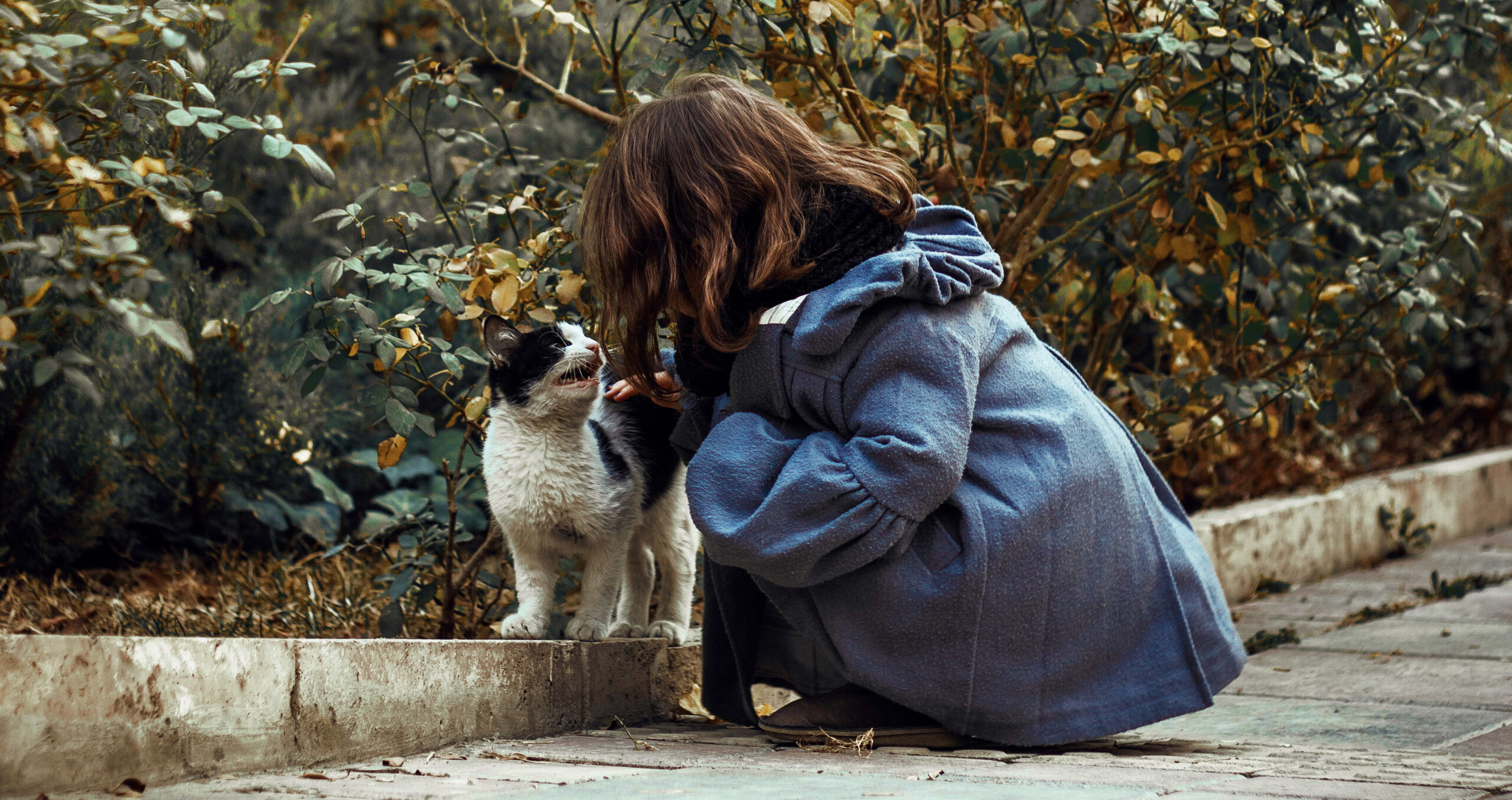a child petting a dog